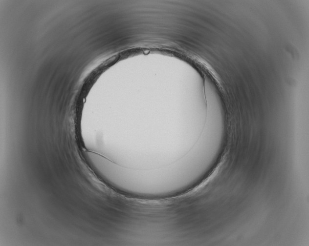 X0000112761114200910011210
