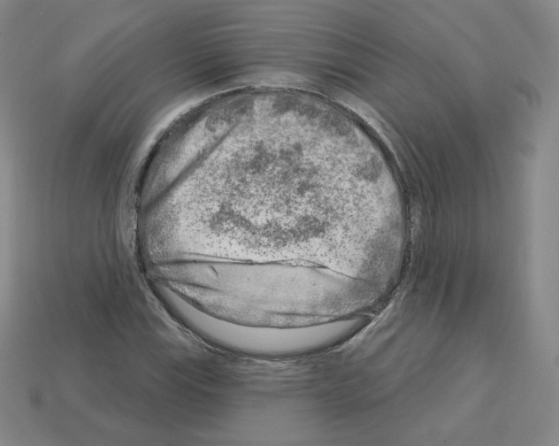 X0000112761115200910011210