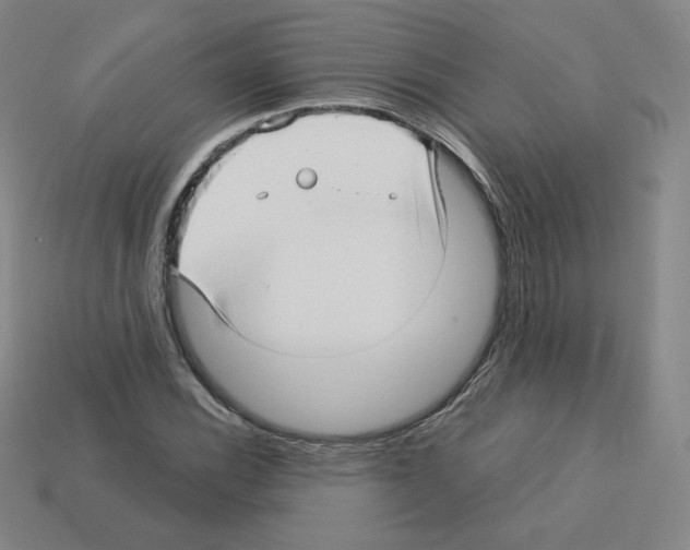 X0000112761116200910011210