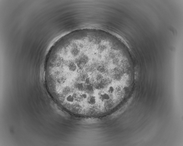 X0000112761117200910011210