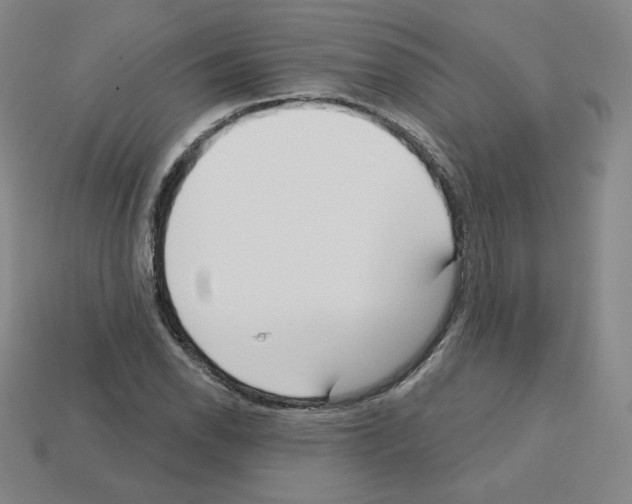 X0000112761118200910011210