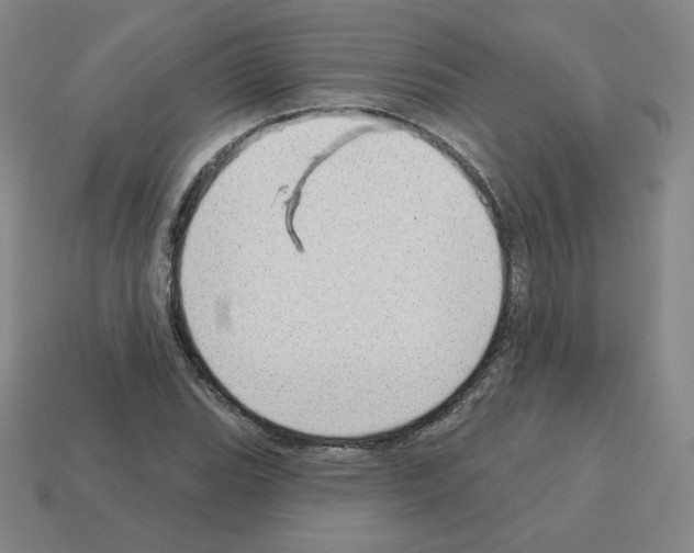 X0000112761119200910011210