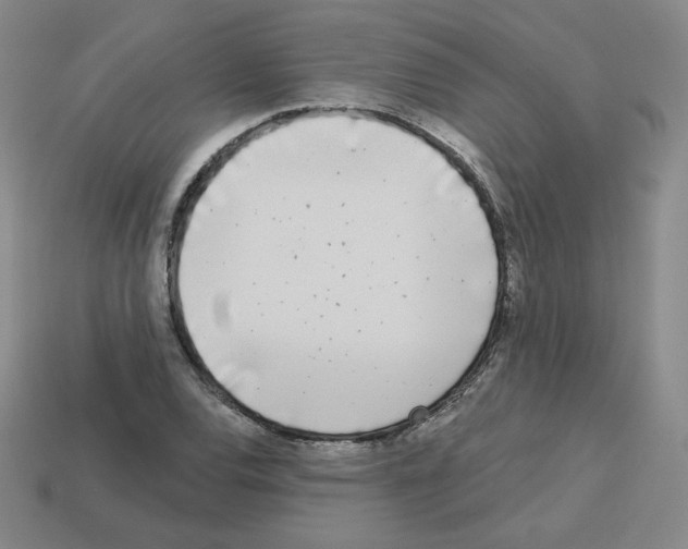 X0000112761120200910011210
