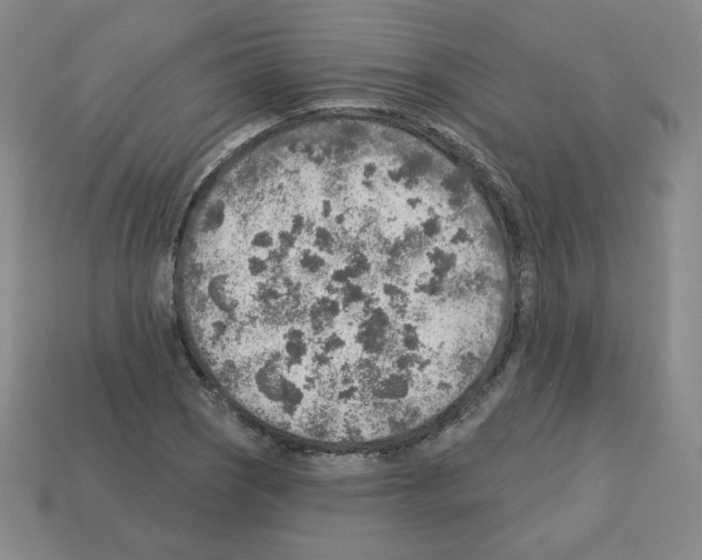 X0000112761121200910011210