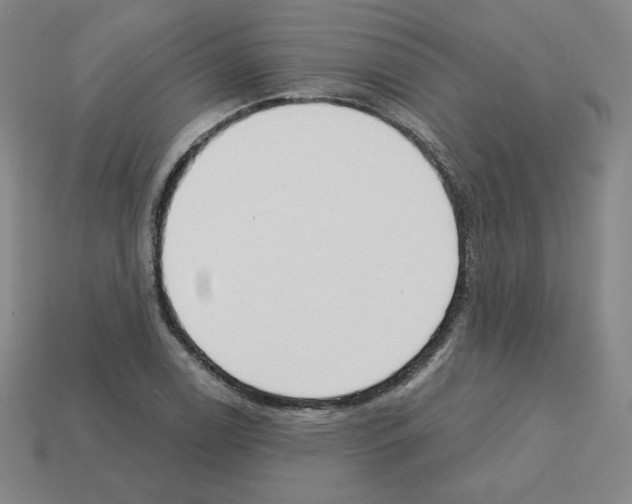 X0000112761122200910011210