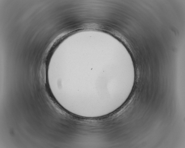 X0000112761123200910011210