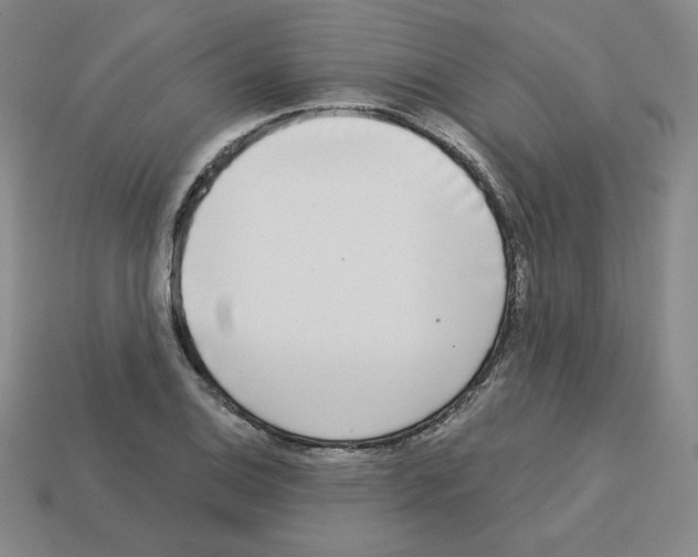 X0000112761124200910011210