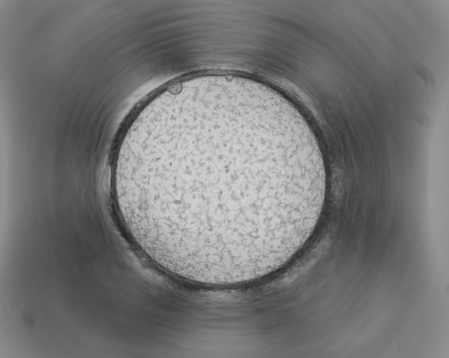 X0000112761125200910011210