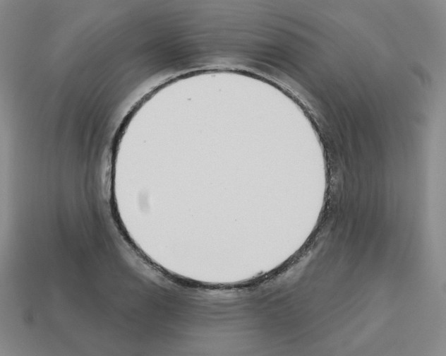 X0000112761126200910011210