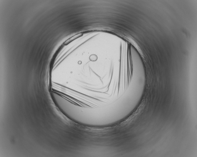 X0000112761132200910011210