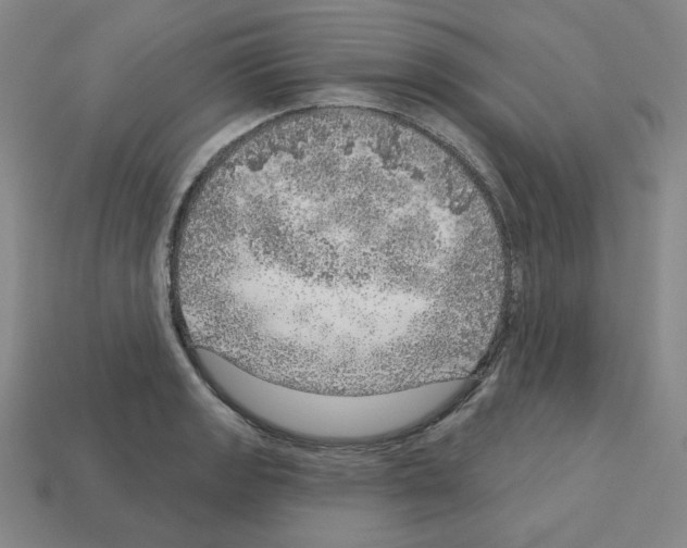 X0000112761133200910011210