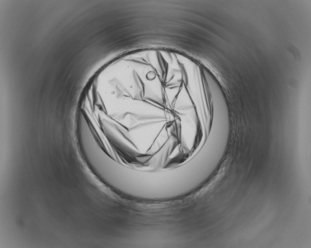 X0000112761134200910011210