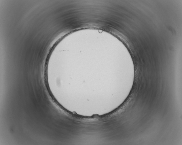 X0000112761135200910011210