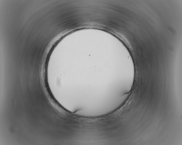 X0000112761136200910011210