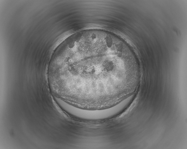 X0000112761137200910011210