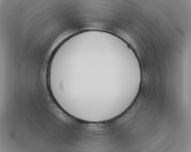X0000112761138200910011210