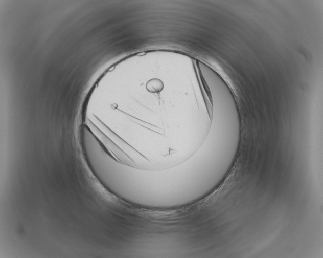 X0000112761140200910011210