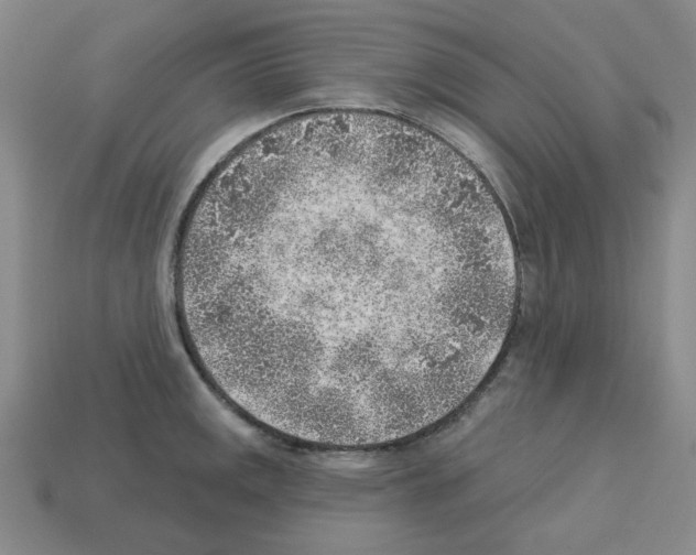 X0000112761141200910011210