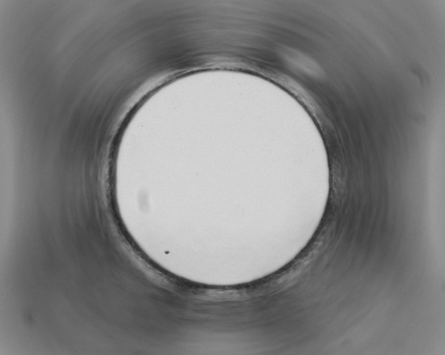 X0000112761142200910011210