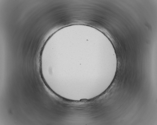 X0000112761143200910011210