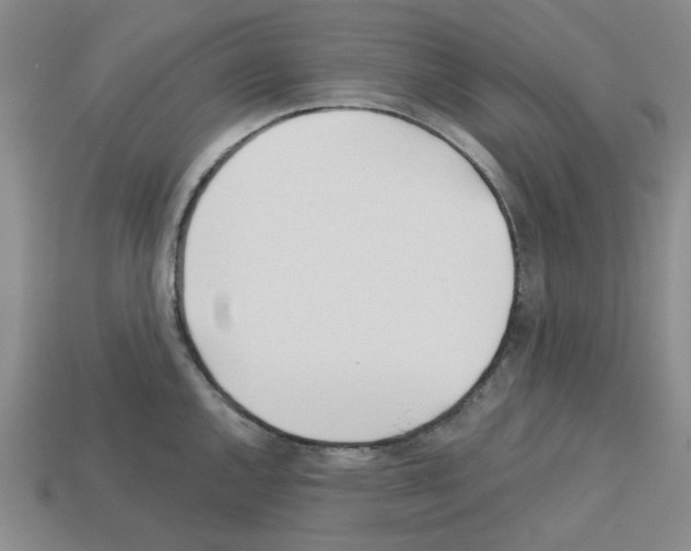 X0000112761144200910011210