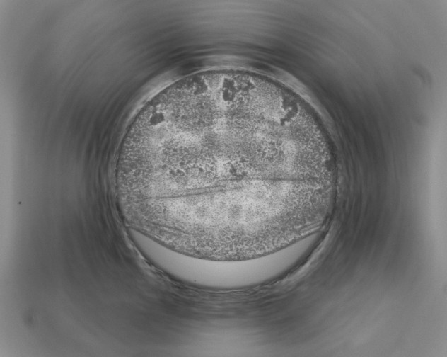 X0000112761145200910011210