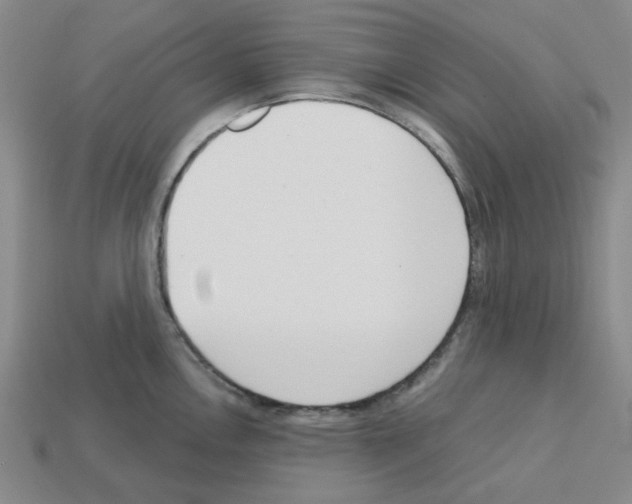 X0000112761146200910011210