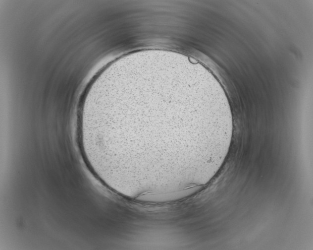 X0000112761147200910011210