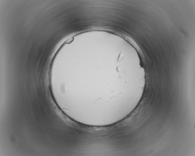 X0000112761148200910011210