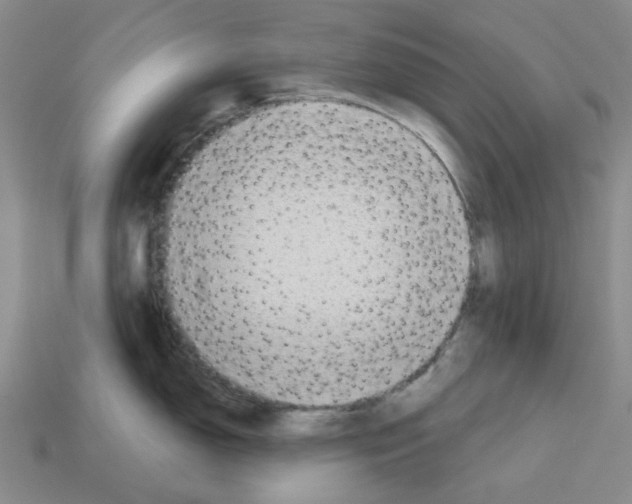 X0000112761150200910011210