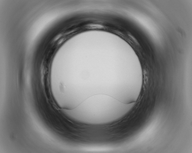 X0000112761151200910011210