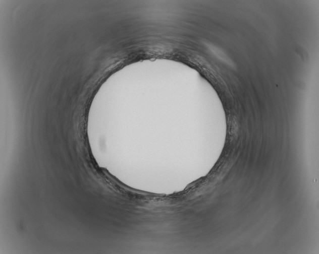 X0000112761153200910011209