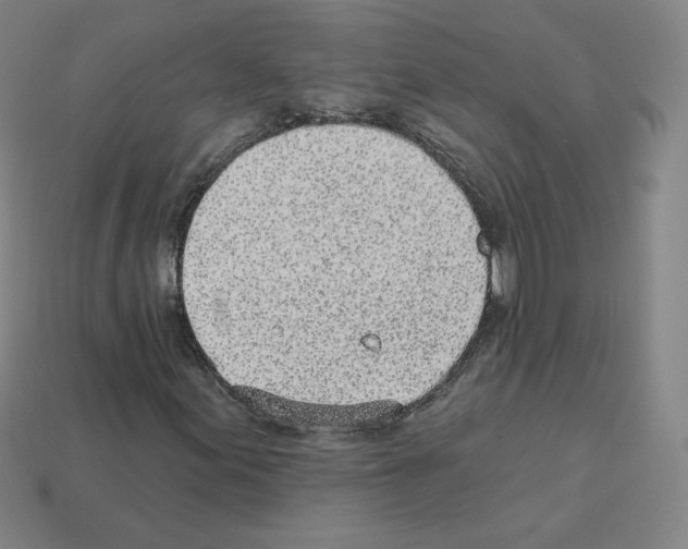 X0000112761155200910011209