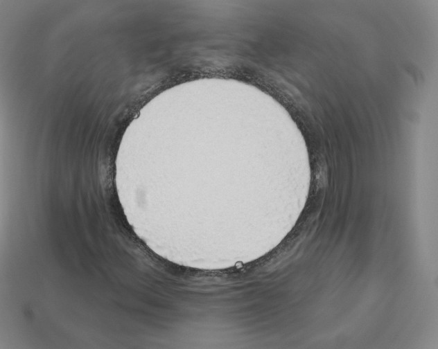 X0000112761156200910011209