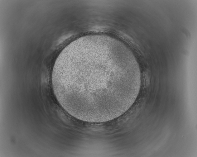 X0000112761158200910011209