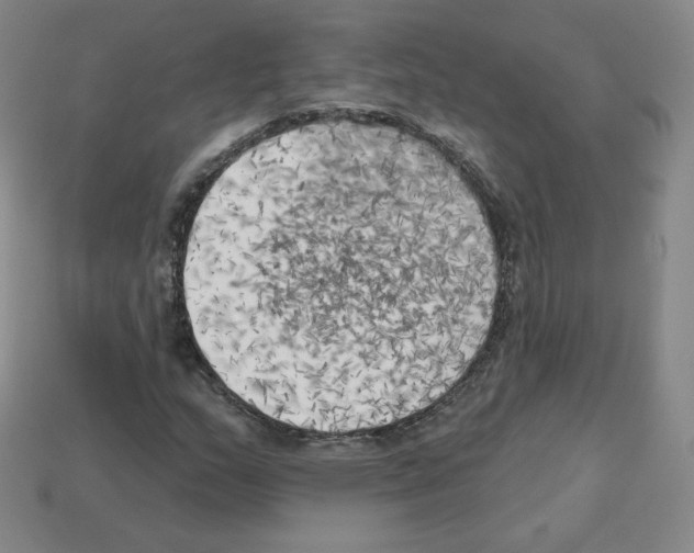 X0000112761159200910011209