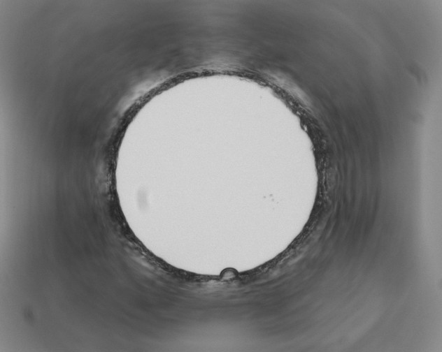 X0000112761160200910011209