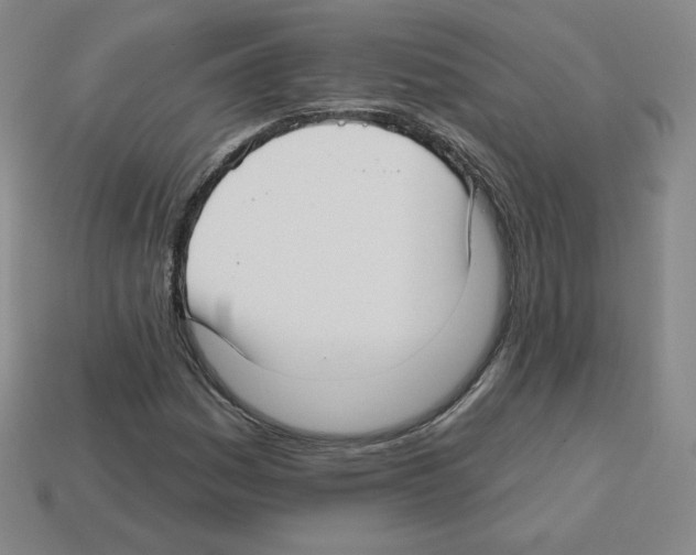 X0000112761161200910011209