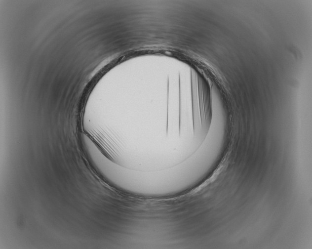 X0000112761162200910011209