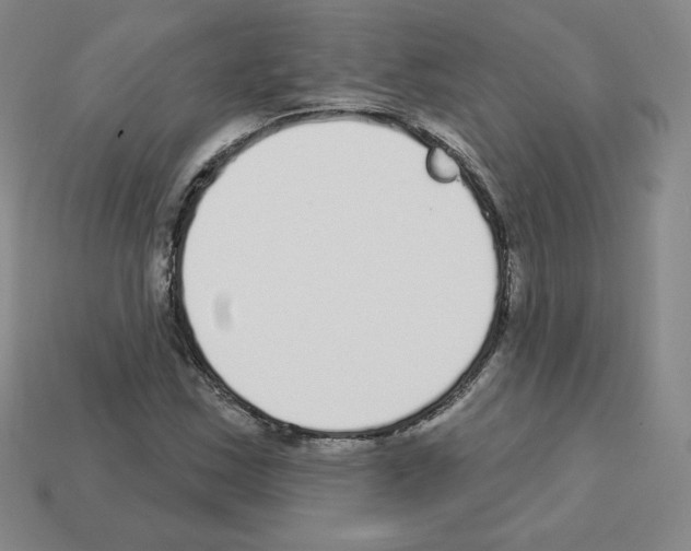 X0000112761163200910011209