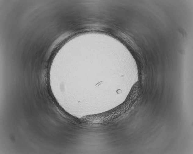 X0000112761164200910011209