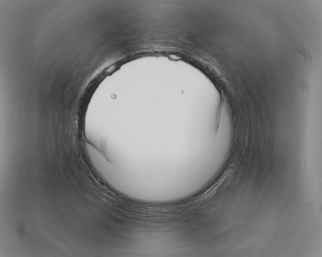 X0000112761165200910011209