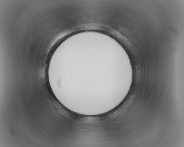 X0000112761166200910011209
