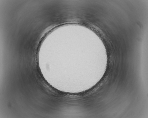 X0000112761168200910011209