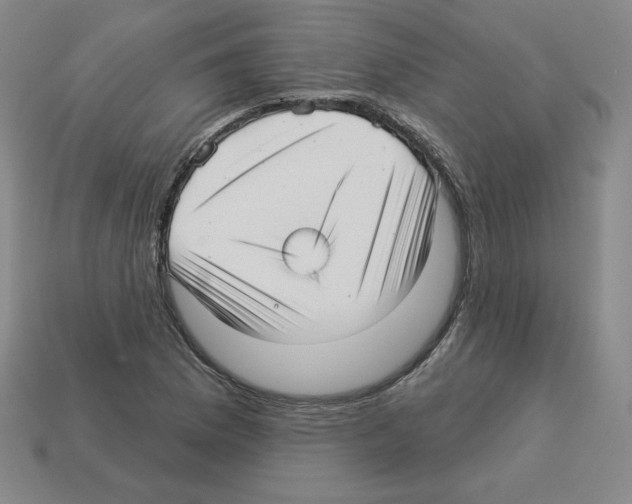 X0000112761169200910011209