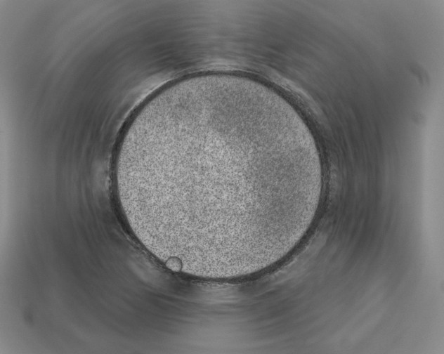 X0000112761170200910011209