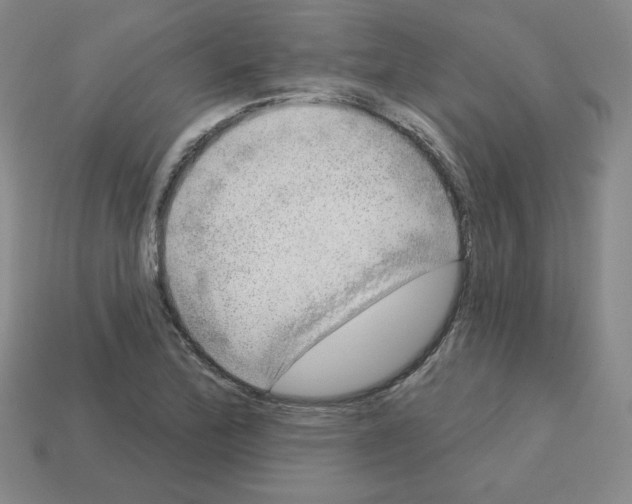 X0000112761172200910011209