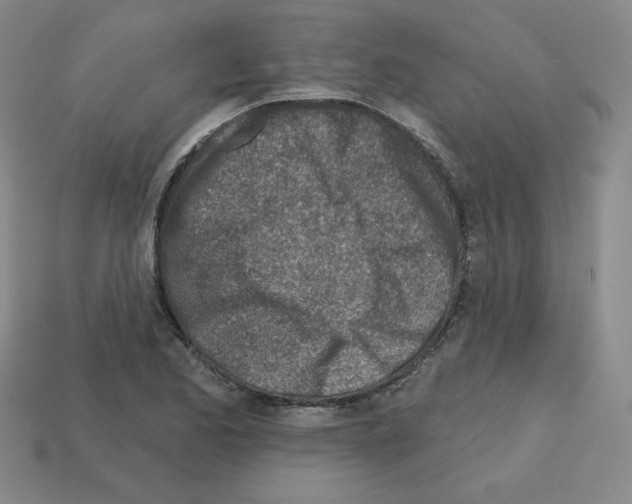 X0000112761173200910011209
