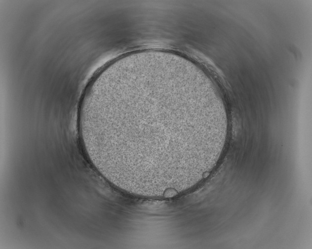 X0000112761174200910011209