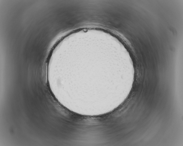 X0000112761175200910011209